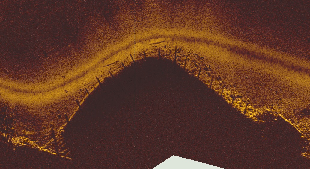 Ngaroto Lake side-scan sonar imagery 4
