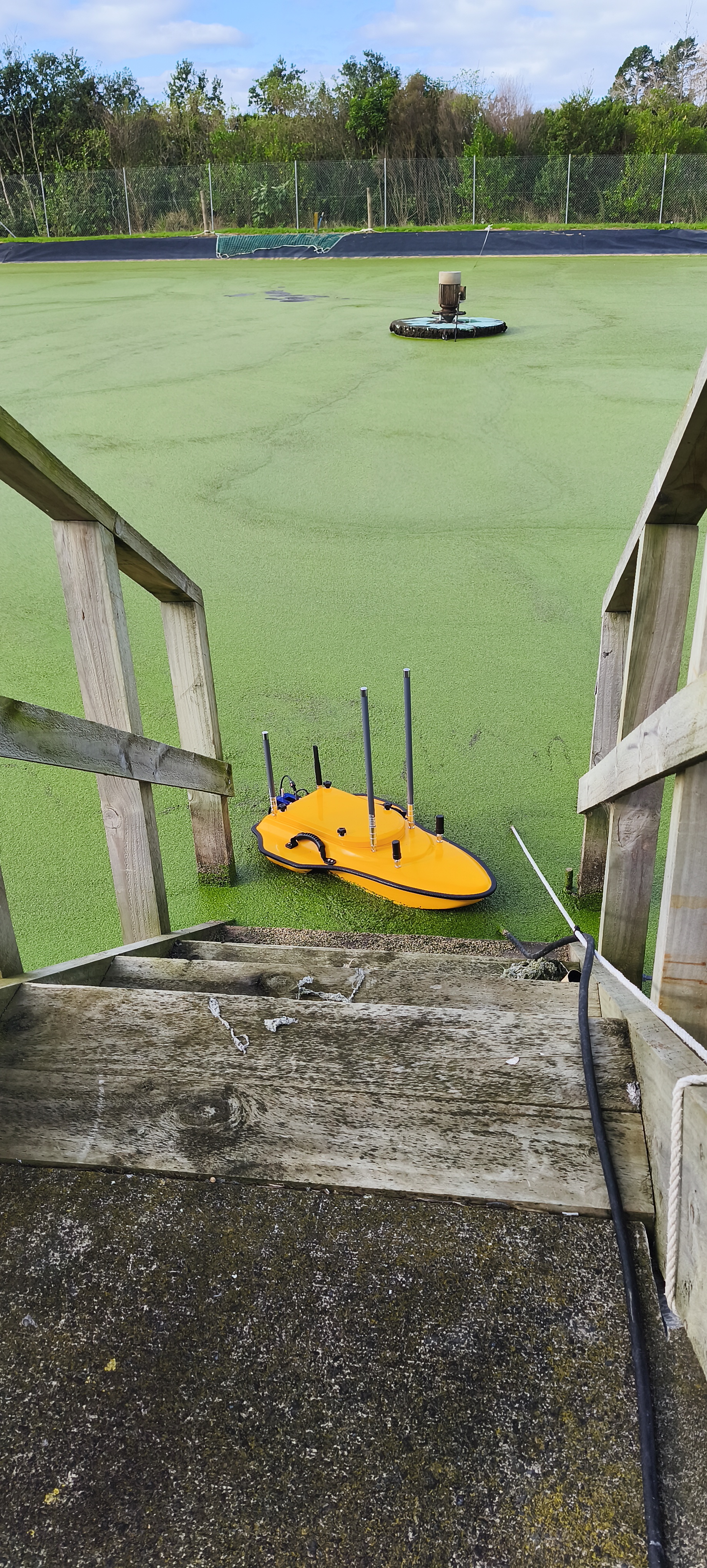 Sediment analysis survey of treatment pond
